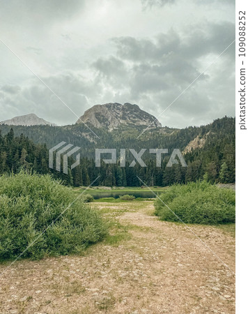 Wonderful view on forest and mountains at cloudy day in the national park Durmitor 109088252