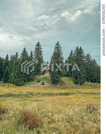Wonderful view on forest and small house at cloudy day 109088260
