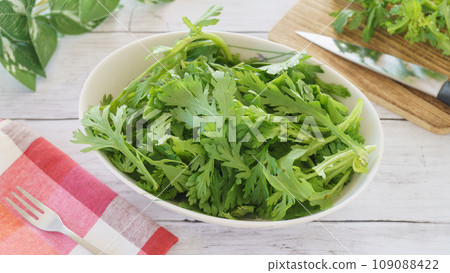 盤子裡的新鮮花環菊花 109088422