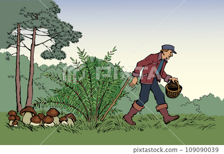 Vector drawing. Man picking mushrooms in the forest 109090039