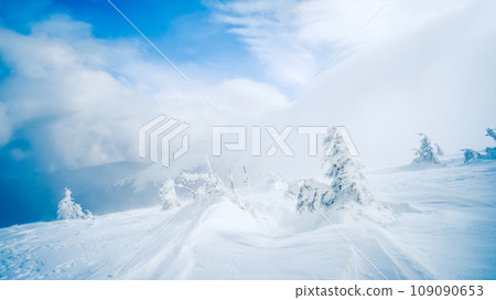 Trees covered with sbow on the mountain hill 109090653