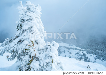 Picturesque winter landscape from mountain 109090654