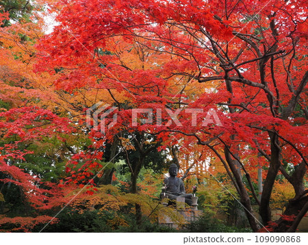 秋葉在京都 109090868