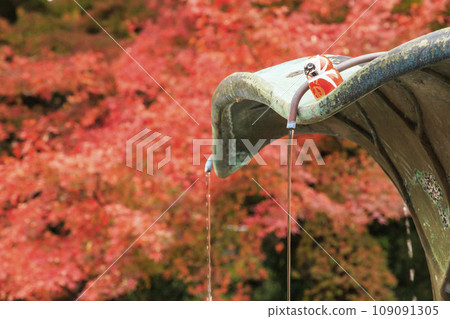 勝尾寺，賞紅葉的最佳時期 109091305