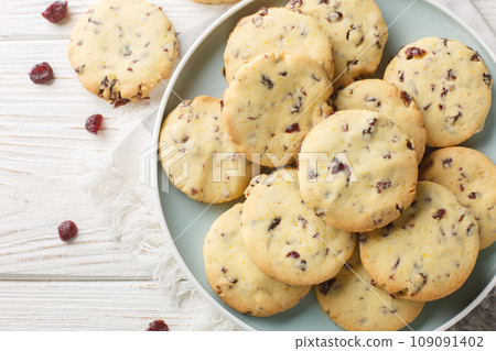 Dry cranberry and orange zest cookies close-up in a plate. Horizontal top view Dry cranberry and orange zest cookies close-up in a plate. Horizontal top view 109091402