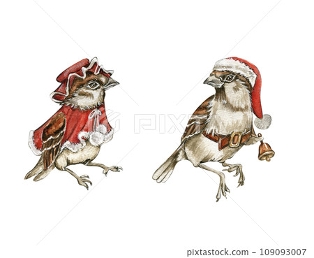Watercolor bird sparrow in red Christmas hat and coat set. Hand drawn watercolor elements. Perfect for wedding invitation, greetings card, posters, party decoration. Watercolor bird sparrow in red Christmas hat and coat set. Hand drawn watercolor elements. Perfect for wedding invitation, greetings card, posters, party decoration. 109093007