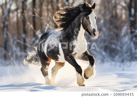 Horse gallop in snow in winter landscape Horse gallop in snow in winter landscape 109093435