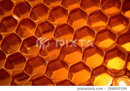 Fragment of honeycomb with full cells in bright sunlight 109093584