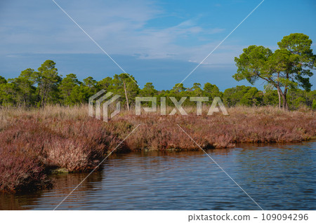 The Divjake-Karavasta National Park - view at the Lagoon of Karavasta, Albanian Adriatic Sea Coast 109094296