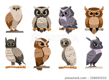 Owls collection. Cartoon owl face and eyes, flying predator bird heads with beak, eyes and feathers, wild zoo ornithology avatars. Vector flat set 109095010