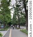 一個城市 109096586