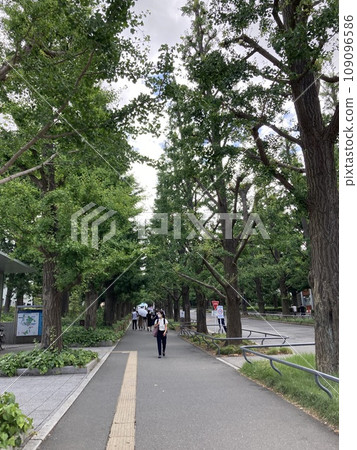 一個城市 一個城市 109096586