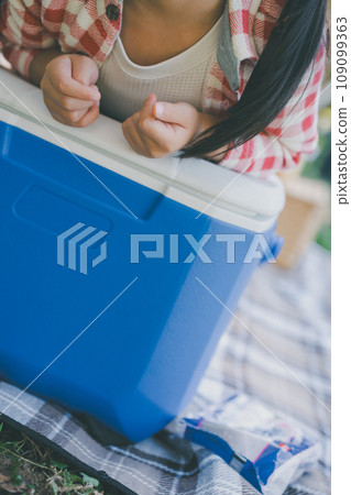 picnic and cooler box 109099363