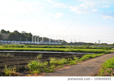 Tobu Railway train passing through Minuma Agricultural Land Saitama City 109099895