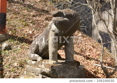 strange guardian dog 109100030