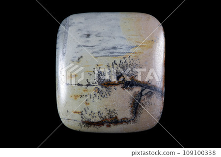 Dendritic Jasper - A stone that harbors landscapes 109100338