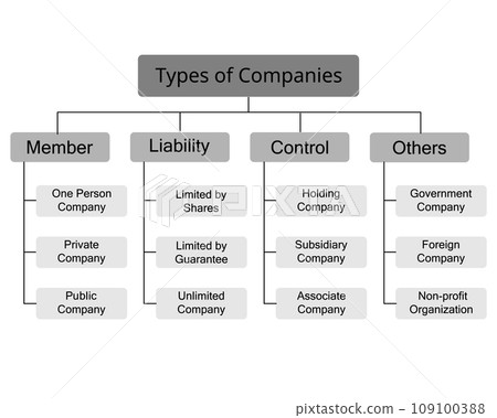 Types of companies or Business Structures divided by members, control, liability and others 109100388