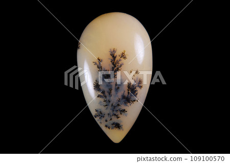 Dendritic Agate A stone that harbors landscapes 109100570
