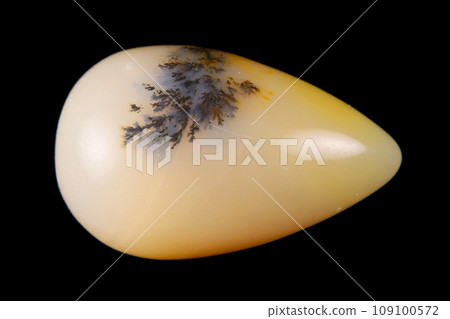 樹枝狀瑪瑙 蘊含風景的石頭 樹枝狀瑪瑙 蘊含風景的石頭 109100572