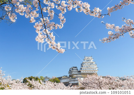 Himeji Castle in spring 109101051