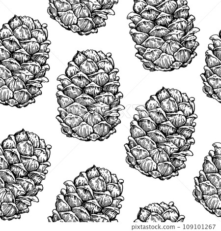 Seamless pattern with cedar pine cone drawing in enagraving style. Hand drawn vector illustration. Seamless pattern with cedar pine cone drawing in enagraving style. Hand drawn vector illustration. 109101267