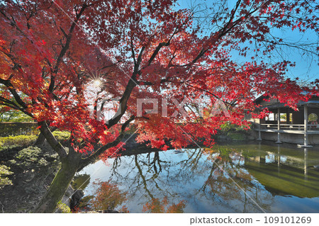 Nishiyama Park in Kinshu Autumn 109101269