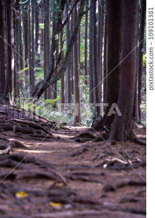 Mt. Takao - Mt. Jinba ridge walk 109101381