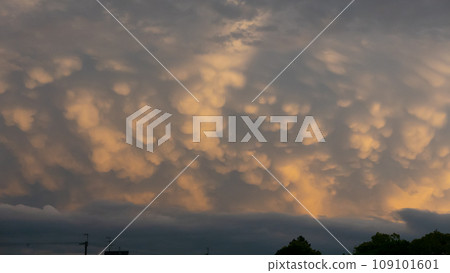 clouds in the setting sun 109101601