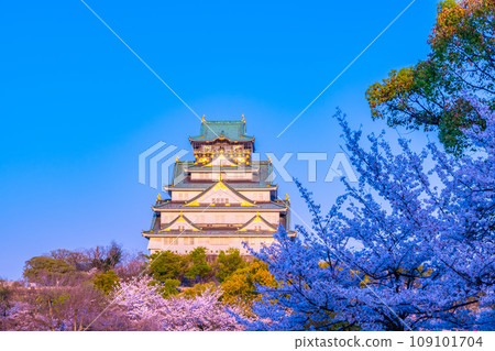 Osaka Castle and cherry blossoms shining in the setting sun Osaka Castle and cherry blossoms shining in the setting sun 109101704