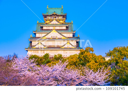 Osaka Castle and cherry blossoms shining in the setting sun Osaka Castle and cherry blossoms shining in the setting sun 109101745