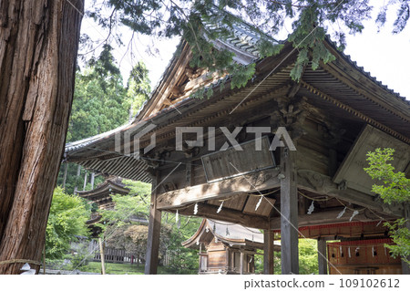 Shinkai三公司神社 109102612