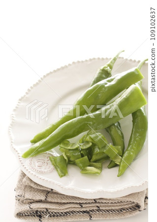 石S辣椒 石S辣椒 109102637