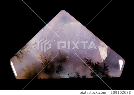 樹枝狀紫水晶鼠尾草瑪瑙承載風景的石頭 109102688