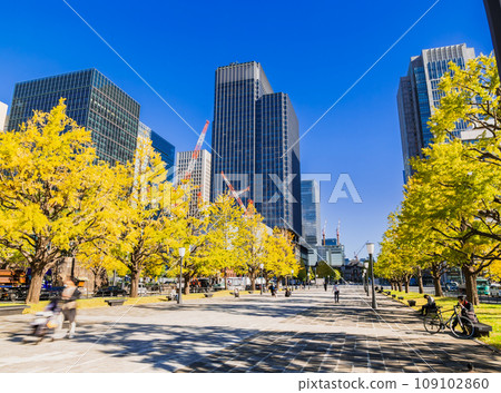 東京車站前行幸街的銀杏樹秋景 109102860