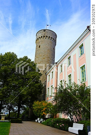 Tallinn, Herman of the Top 109102978