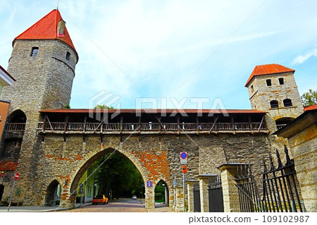Monastery Gate in Tallinn Monastery Gate in Tallinn 109102987