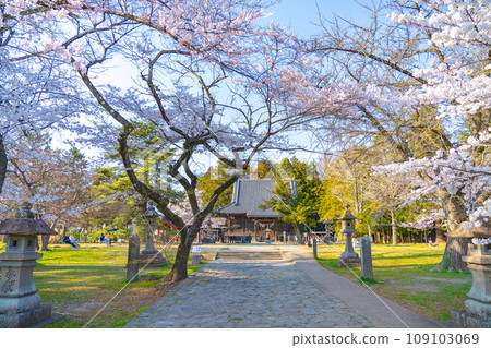 Mutsu Kokubunji Yakushido Sendai City, Miyagi Prefecture 109103069