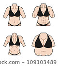 從正面看女性軀幹（有邊緣） 109103489