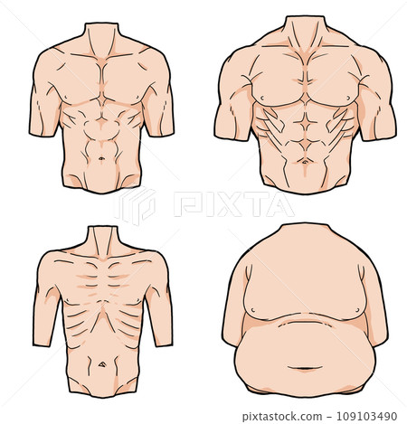 從正面看男性軀幹（有邊緣） 109103490