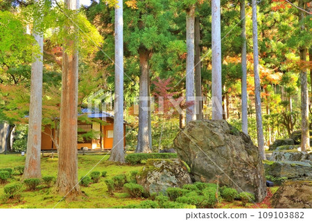 Japanese garden Japanese garden 109103882