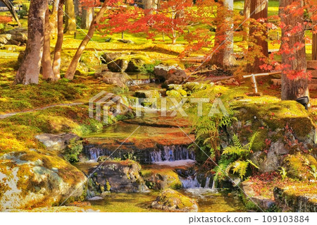 Japanese garden 109103884
