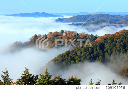 Mountain Castle in the Sky 7248- Mountain Castle in the Sky 7248- 109103956