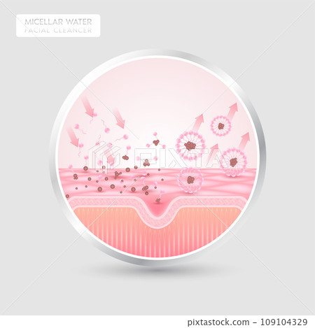 Product label for product face cleanser design. Remove makeup with micellar water. Sectional remove dirt on skin cell with surfactant. Cosmetics solution facial care pore cleaning. Isolated vector. 109104329