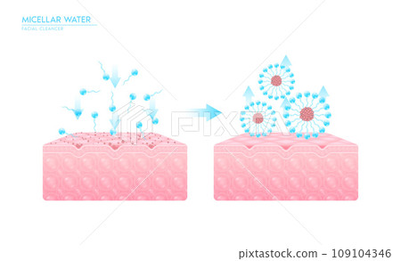 Micellar water drop on skin. Sectional mechanism remove dirt on skin cell with surfactant. Remove makeup with micellar. Cosmetics solution facial care pore cleaning. Face cleanser pure healthy. Vector Micellar water drop on skin. Sectional mechanism remove dirt on skin cell with surfactant. Remove makeup with micellar. Cosmetics solution facial care pore cleaning. Face cleanser pure healthy. Vector 109104346