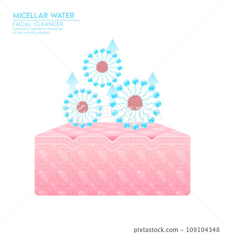 Sectional of mechanism remove dirt on skin cell with surfactant. Remove makeup with micellar. Cosmetics solution facial care pore cleaning with micellar water drop. Face cleanser pure healthy. Vector. Sectional of mechanism remove dirt on skin cell with surfactant. Remove makeup with micellar. Cosmetics solution facial care pore cleaning with micellar water drop. Face cleanser pure healthy. Vector. 109104348