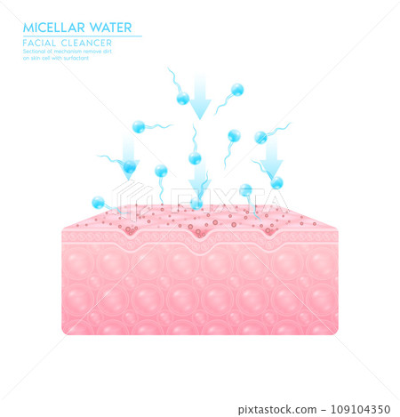 Sectional of mechanism remove dirt on skin cell with surfactant. Remove makeup with micellar. Cosmetics solution facial care pore cleaning with micellar water drop. Face cleanser pure healthy. Vector. Sectional of mechanism remove dirt on skin cell with surfactant. Remove makeup with micellar. Cosmetics solution facial care pore cleaning with micellar water drop. Face cleanser pure healthy. Vector. 109104350