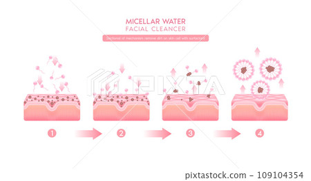 Sectional of mechanism remove dirt on skin cell with surfactant. Remove makeup with micellar. Cosmetics solution facial care pore cleaning with micellar water drop. Face cleanser pure healthy. Vector. 109104354