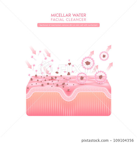 Sectional of mechanism remove dirt on skin cell with surfactant. Remove makeup with micellar. Cosmetics solution facial care pore cleaning with micellar water drop. Face cleanser pure healthy. Vector. 109104356