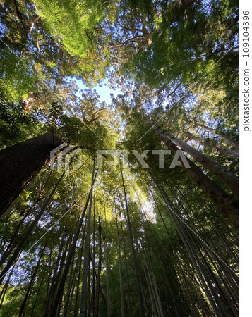 和歌山縣世界遺產熊野古道 109104396