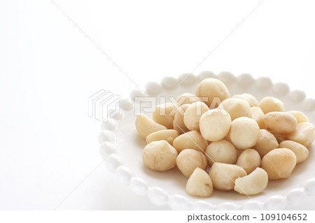 Macadamia nut Macadamia nut 109104652